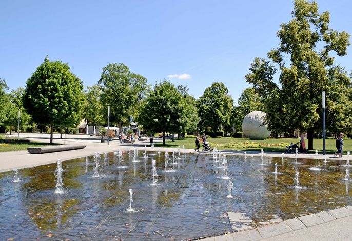 Bild 8