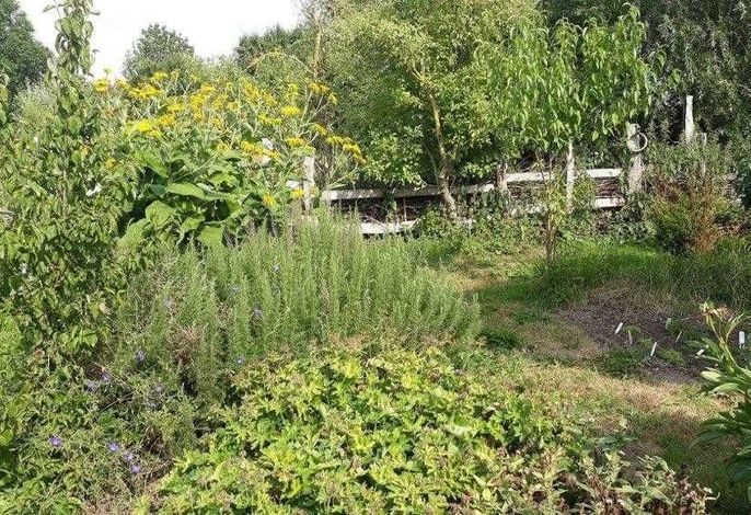 Gartenimpressionen
