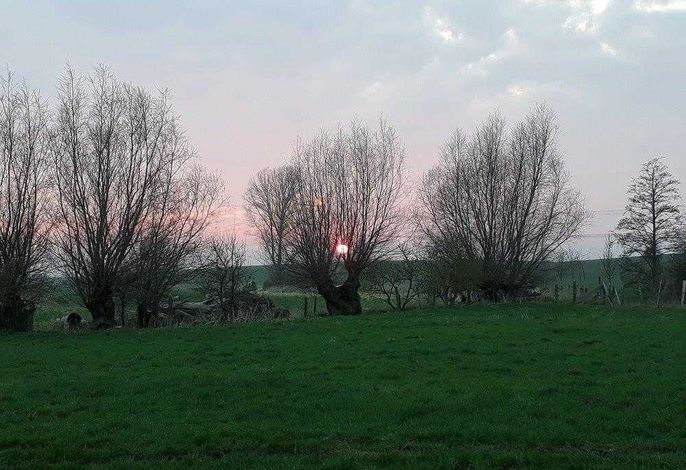 Umgebung