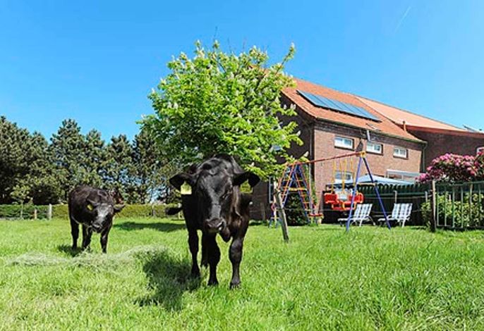 Ferienwohnung