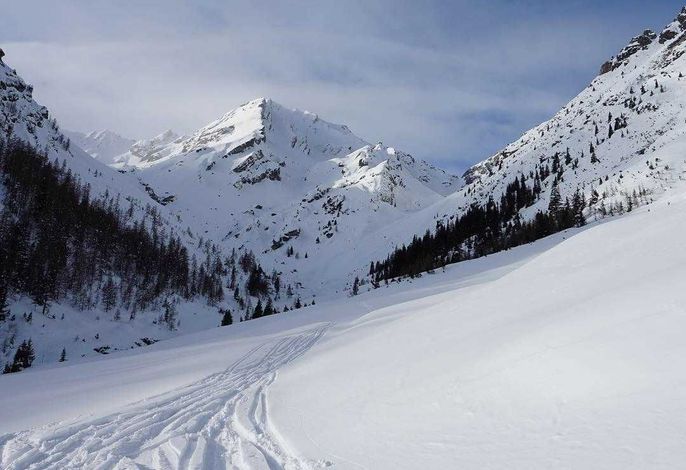 Bild 66