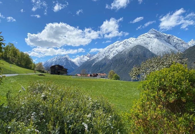 Bild 38