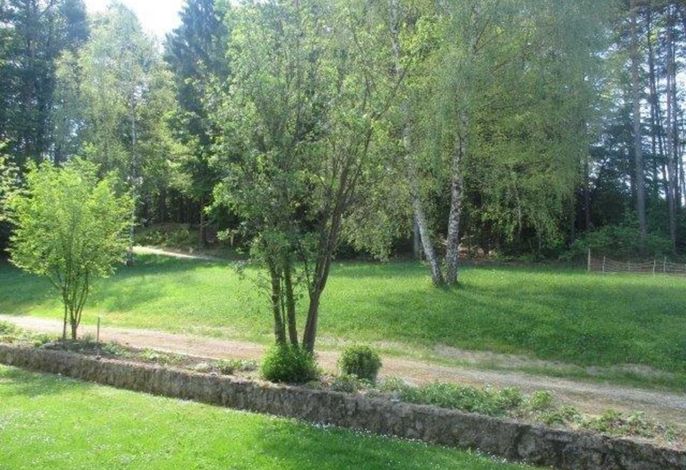 Bild 15
