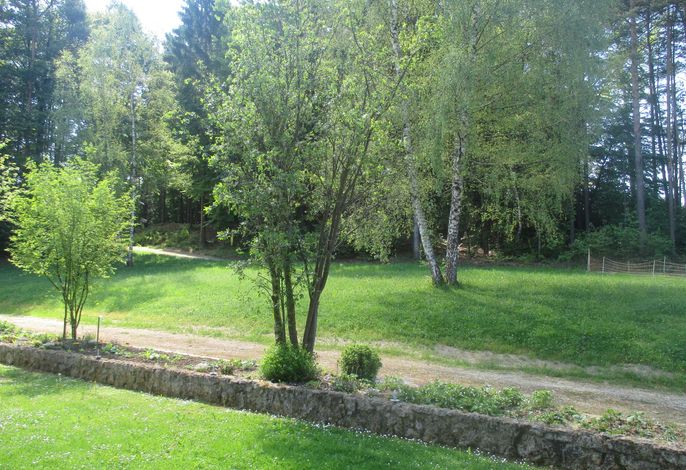 Bild 21