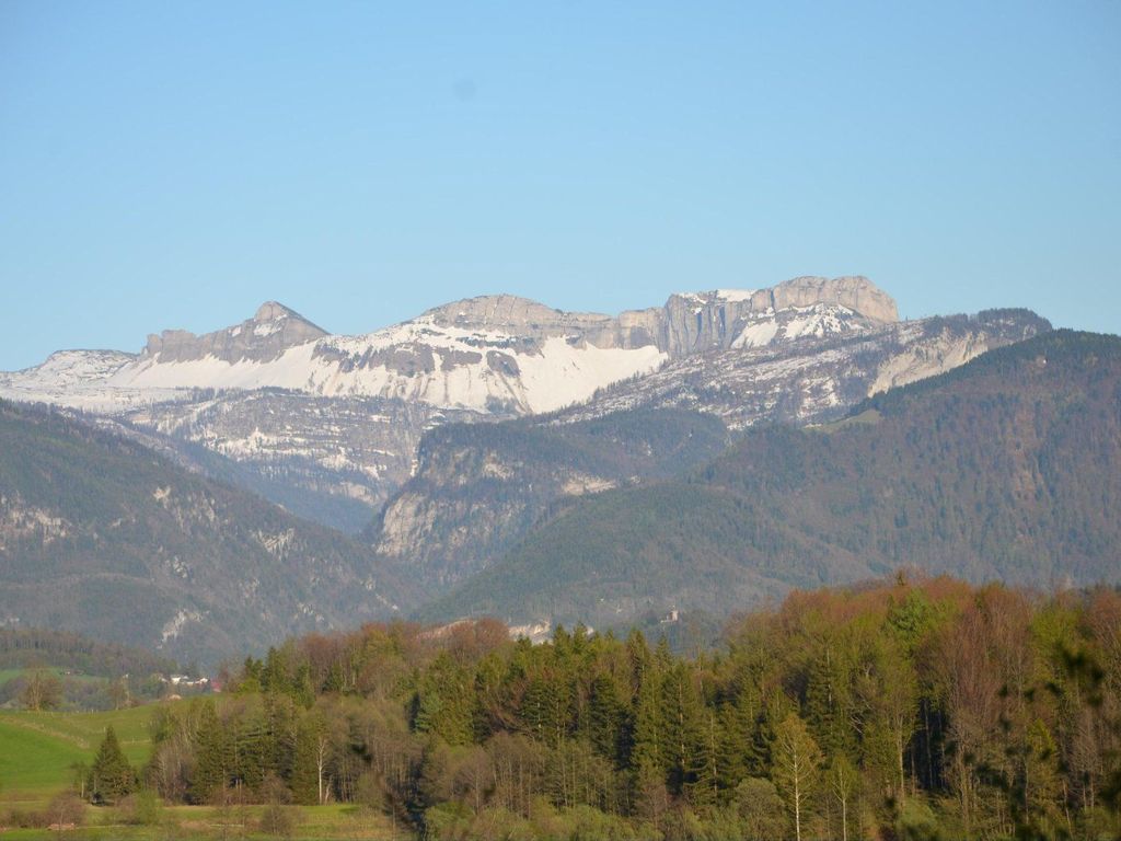 FiSCHERGUT