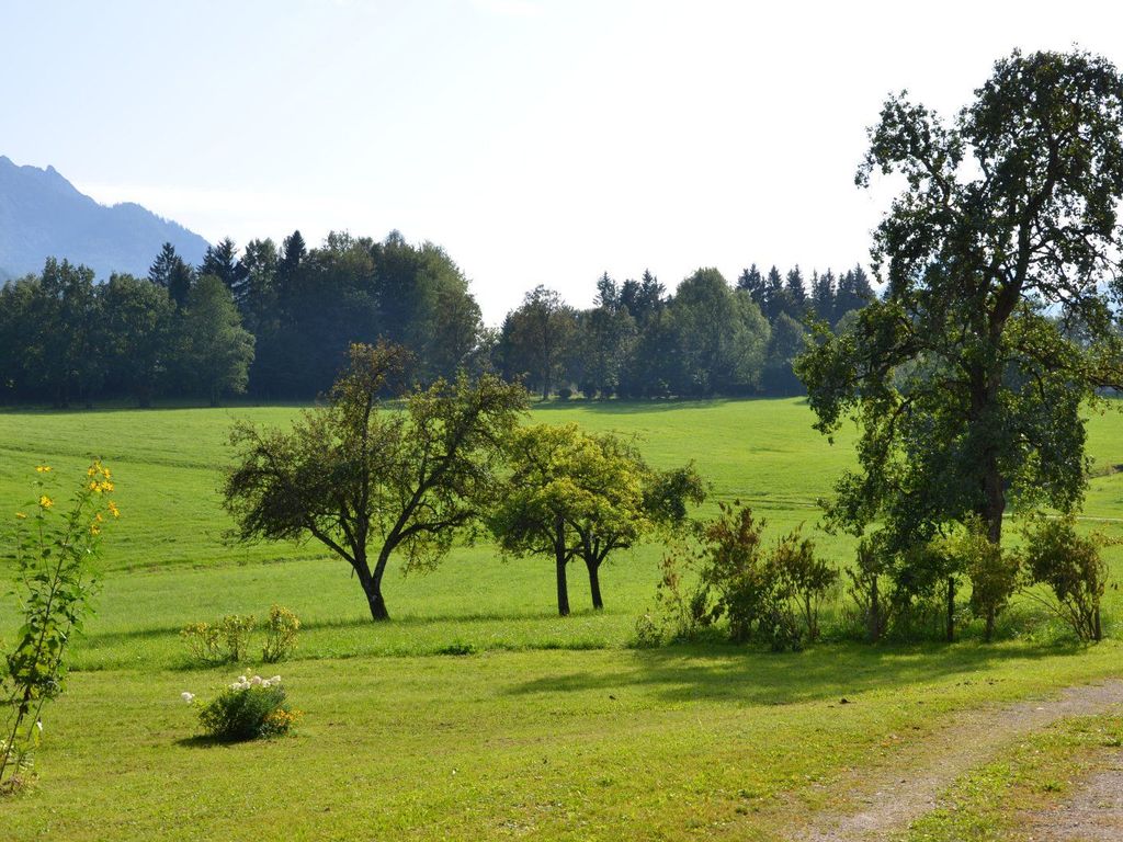 FiSCHERGUT