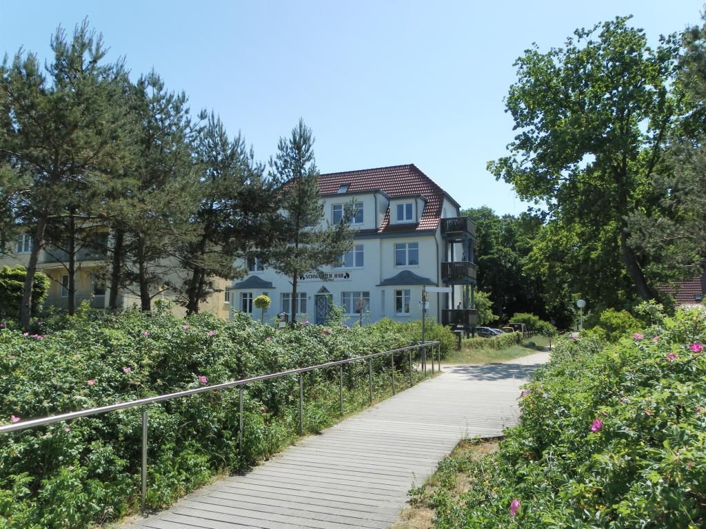 Schwarzer Bär - Blick auf die Villa
