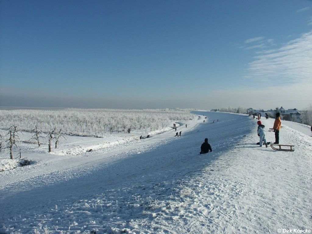 Winter am Elbdeich