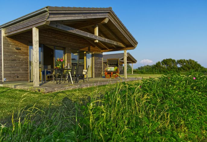 Designferienhaus Seeadler (32) mit exklusiver Ausstattung
