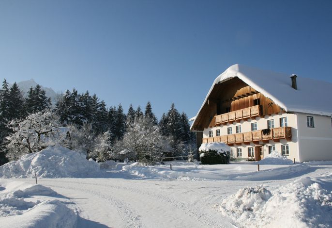 Ferienwohnung Pöllmannbauer