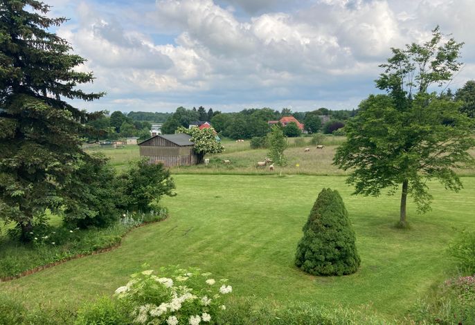 Fewo Blick zum See Bild 4