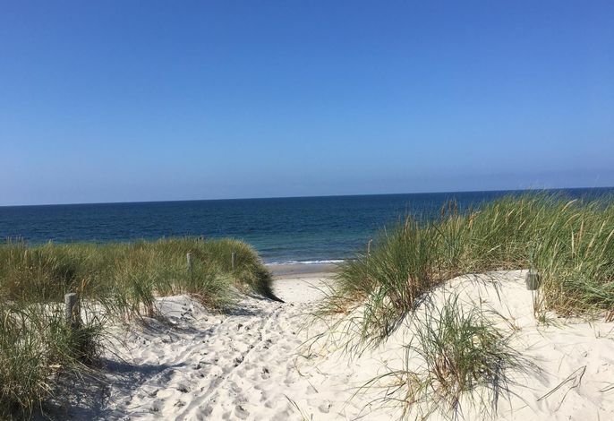 Ferienwohnung im Küstenwald-Ostsee SNR: 56