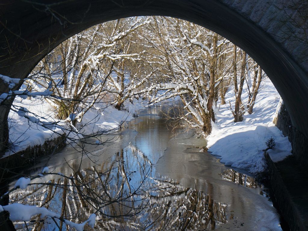 Winteridyll