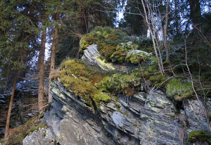 Bild 16