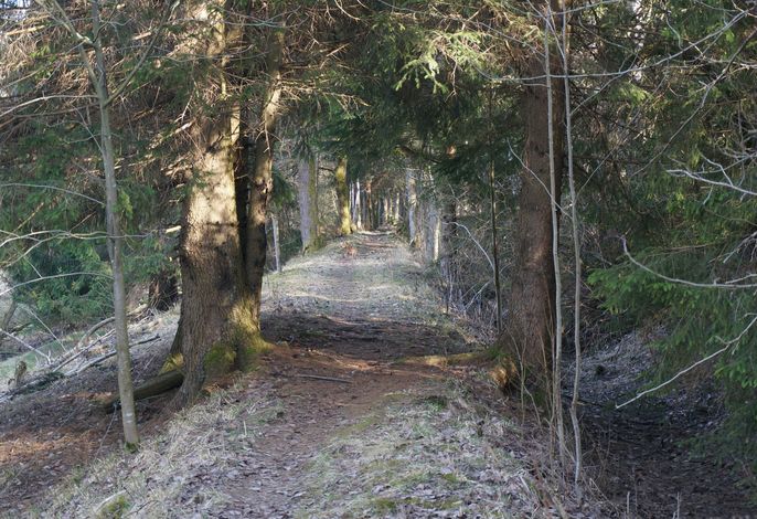 Bild 17