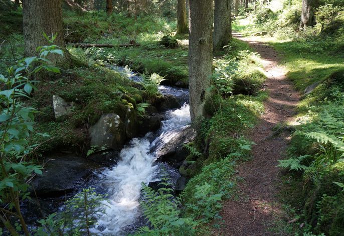 Bild 13