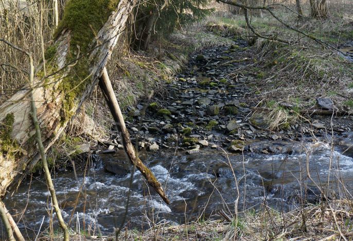 Bild 15