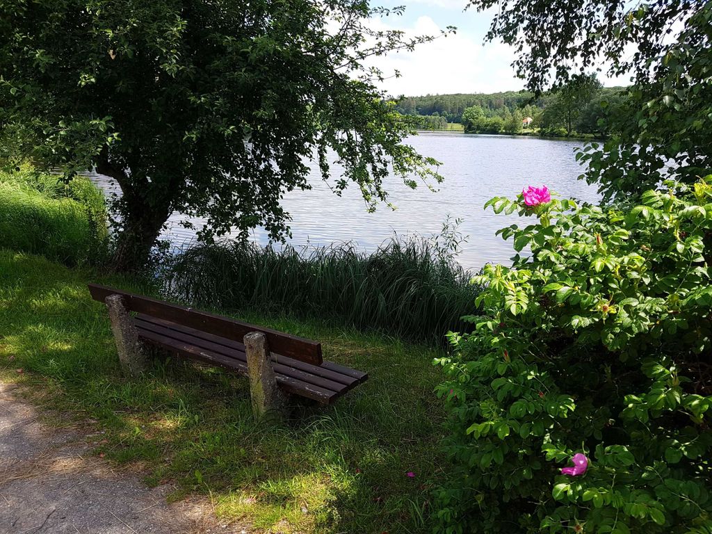 Direkt vor der Tür, der Stieger See