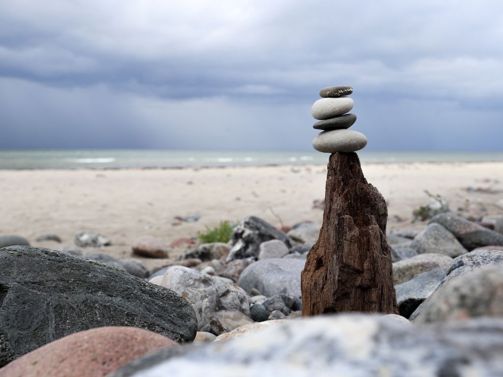 Groß Schwansee - Blick auf den Naturstrand