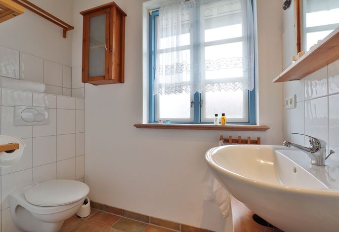 Photo Sternschnuppe 8