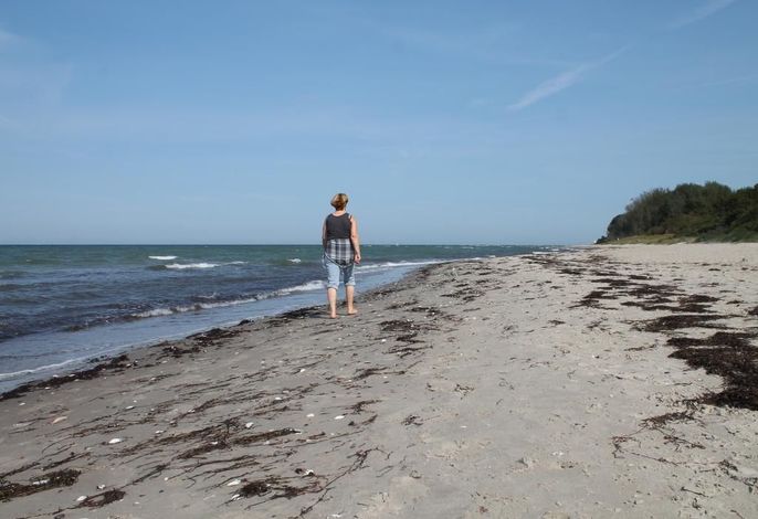 Photo Sternschnuppe 10