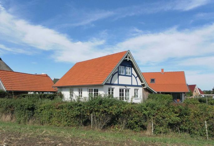 Sternschnuppe