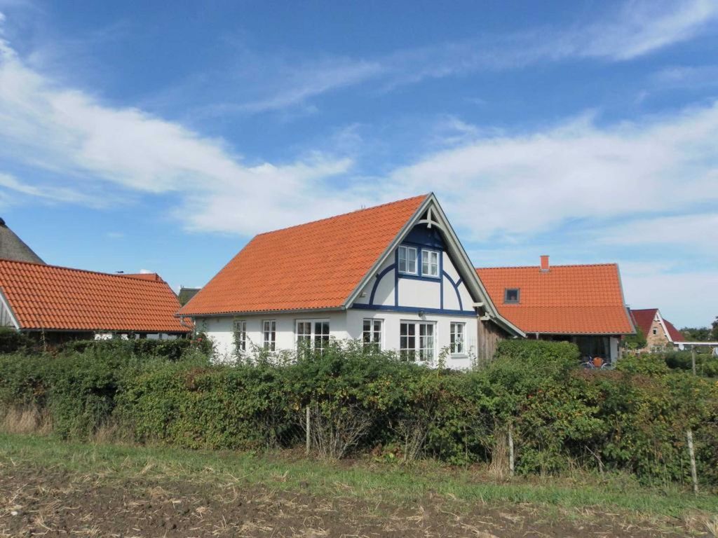 Sternschnuppe