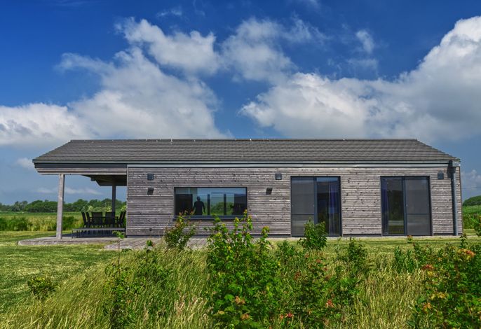 Designferienhaus Gaia (02) mit exklusiver Ausstattung