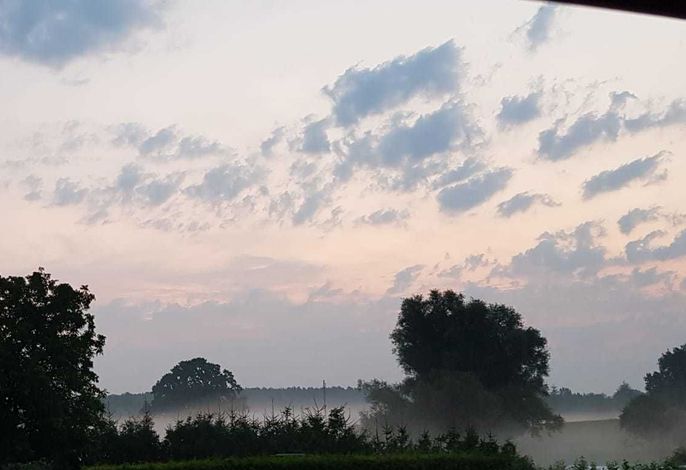 Blick in die Natur