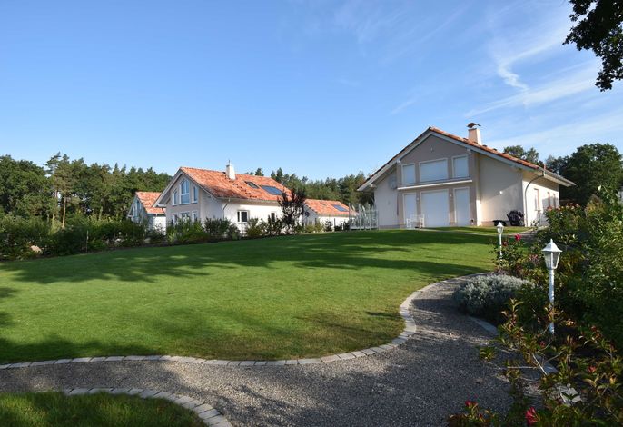 Bild 15