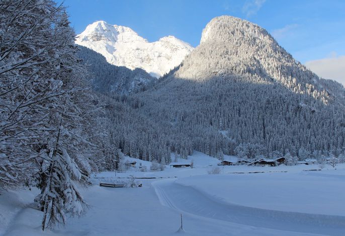 Bild 11