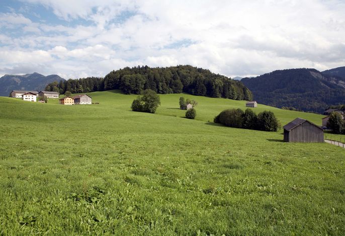 Bild 23