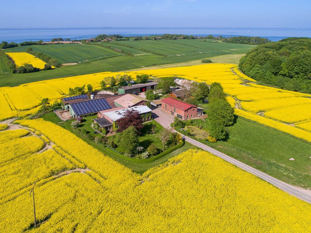 Ferienhof Bendixen aus der Vogelperspektive