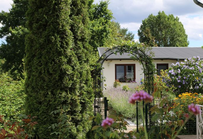 Bungalow Carpe diem