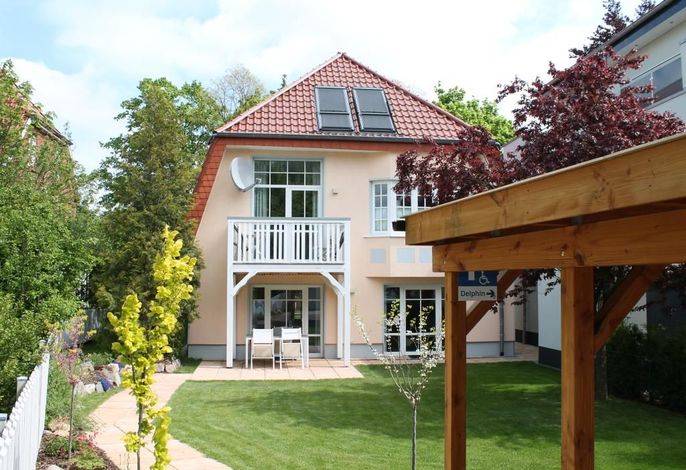 Muschel Whg. Delfin