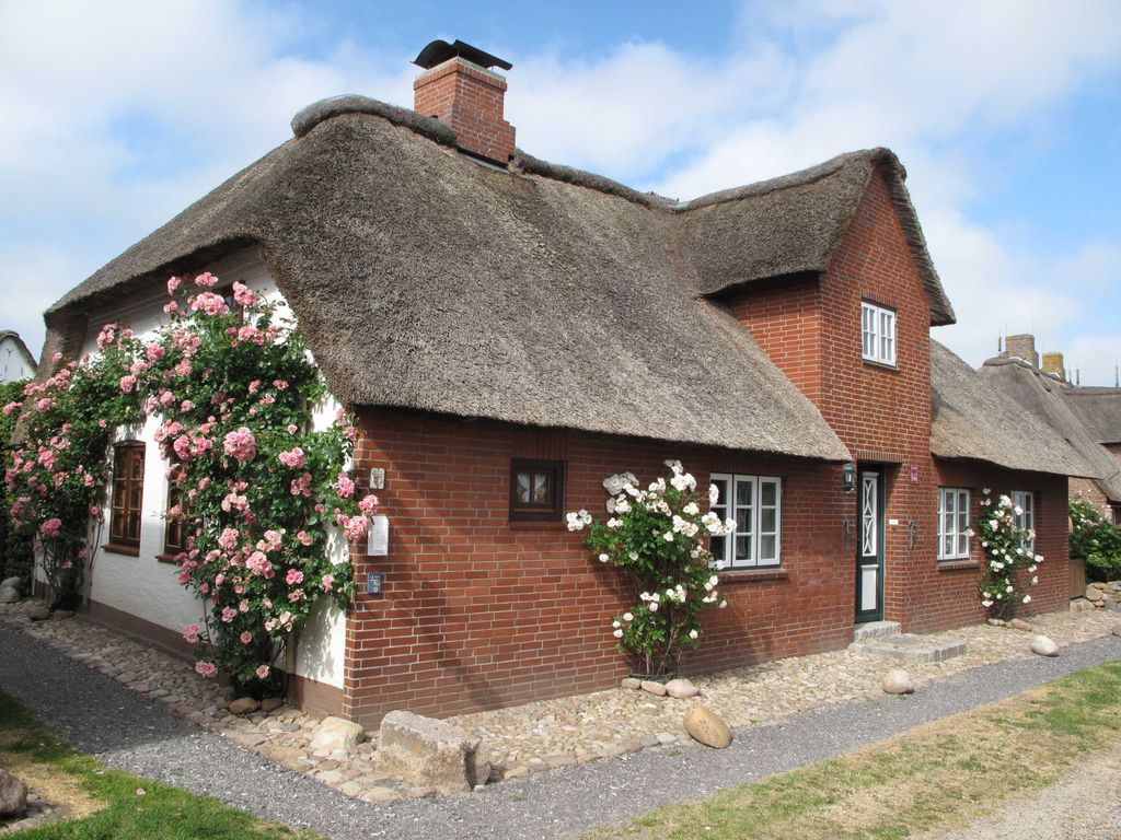 Sommerrosen am Haus