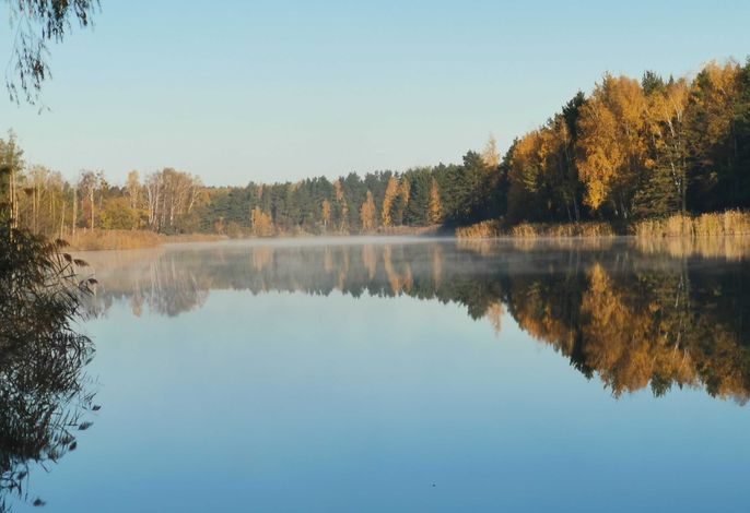Bild 17