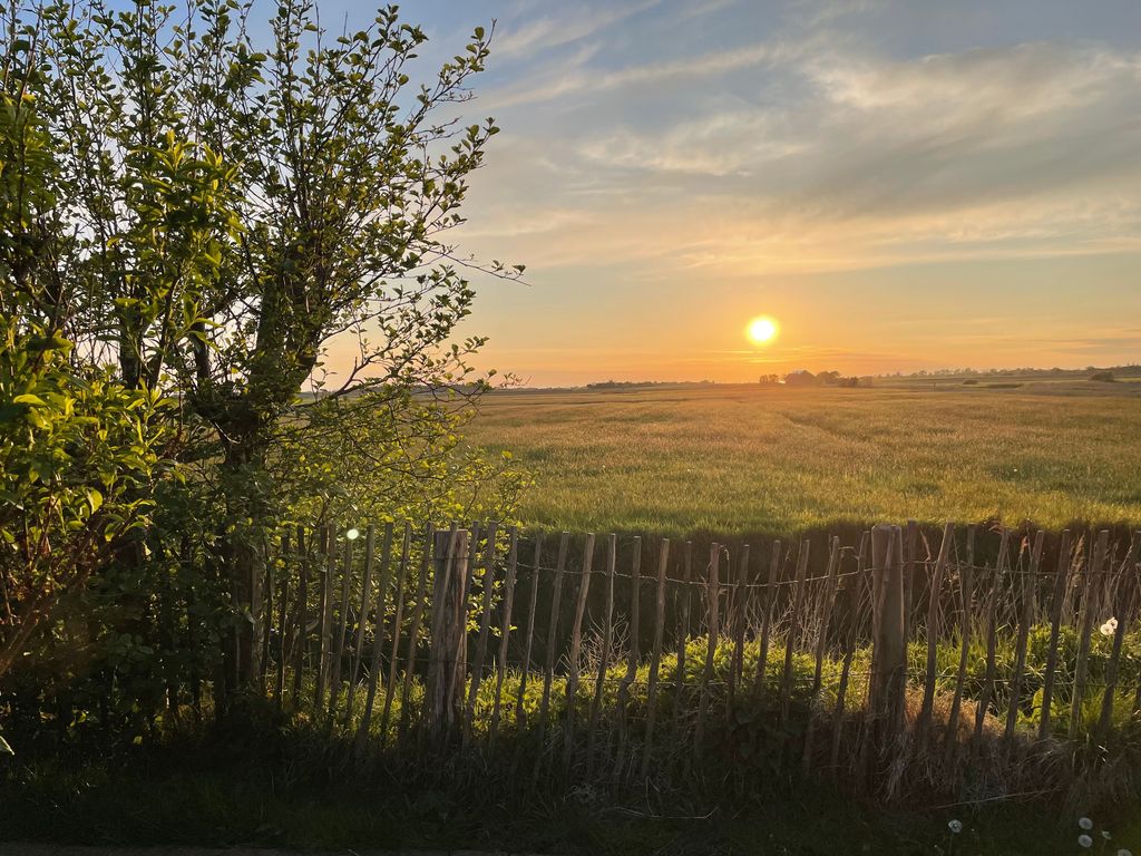 Sonnenuntergang auf dem Hof Faltings