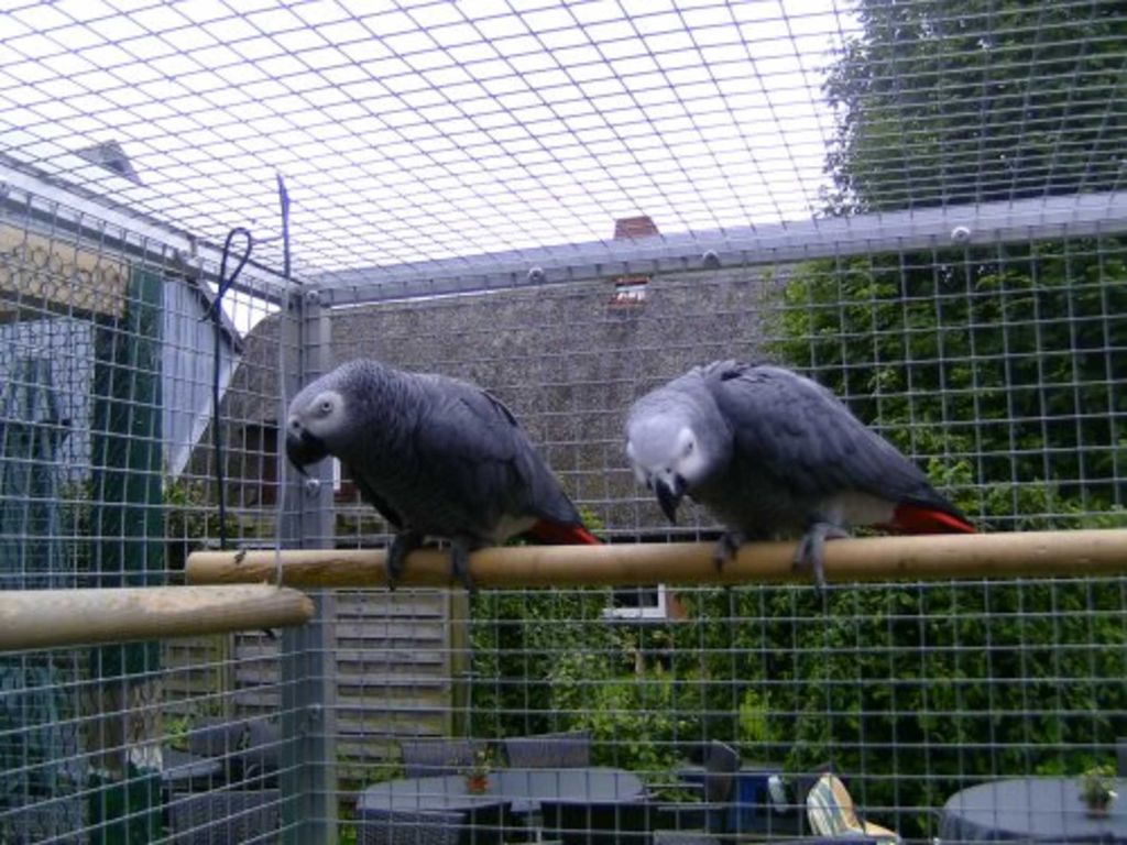 Auch Eckard und George freuen sich auch auf ihren Besuch in Krögers Dörpskrog