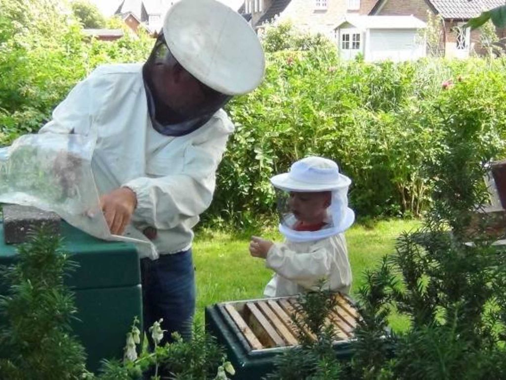 Auch die Kinder dürfen bei Interesse in einen Bienenstock schauen.