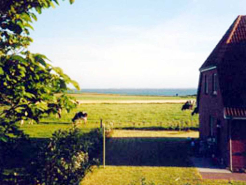 Großer gemütlicher Garten zum verweilen.