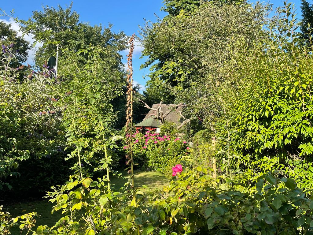 Blick in den Garten