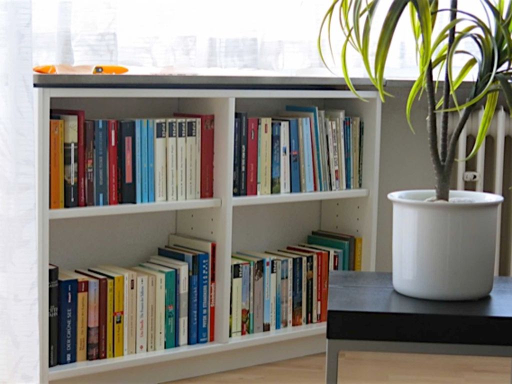 Bücher zum Schmökern
