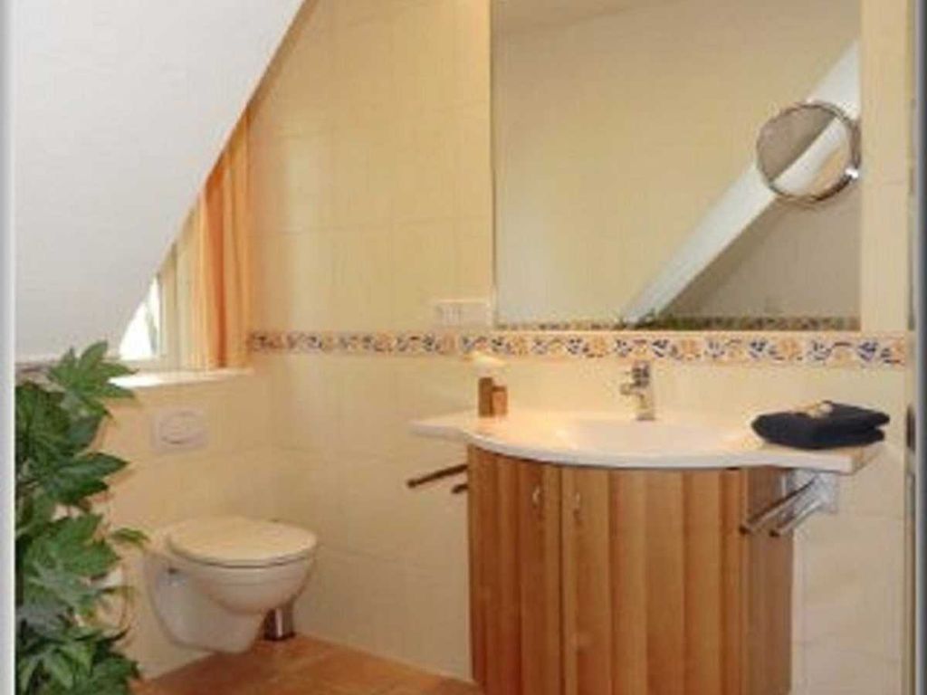 Blick in das Duschbad/WC mit Tageslicht