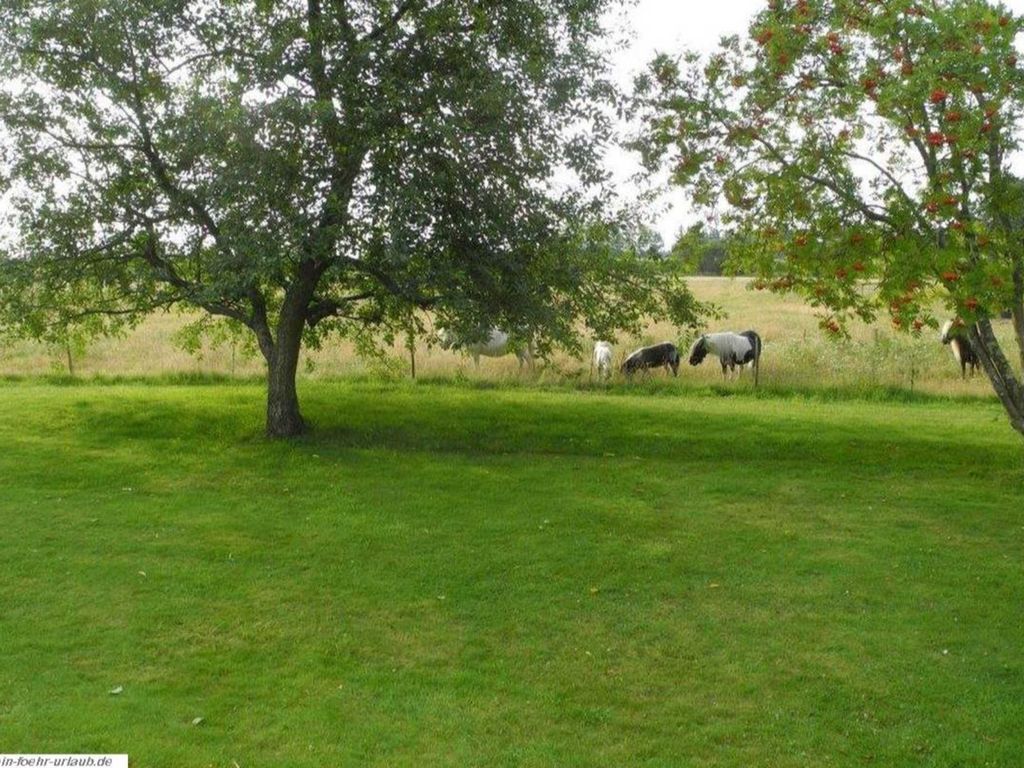 Großer Garten mit Blick auf angrenzende Wiesen