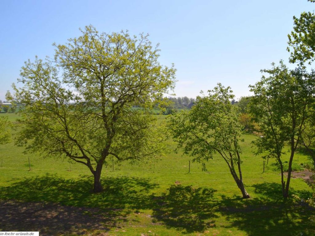 Herrlicher Ausblick vom Balkon auf die angrenzenden Wiesen