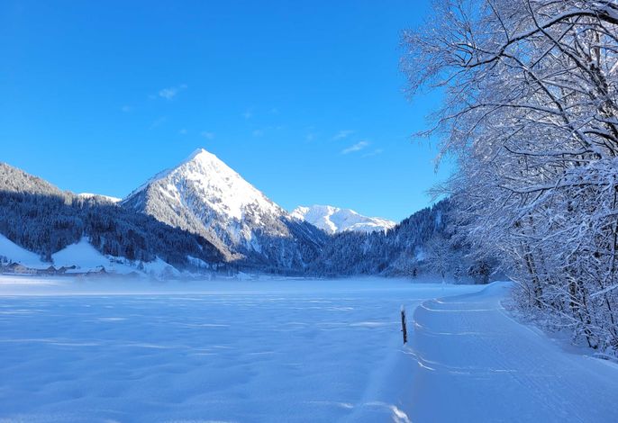 Bild 19
