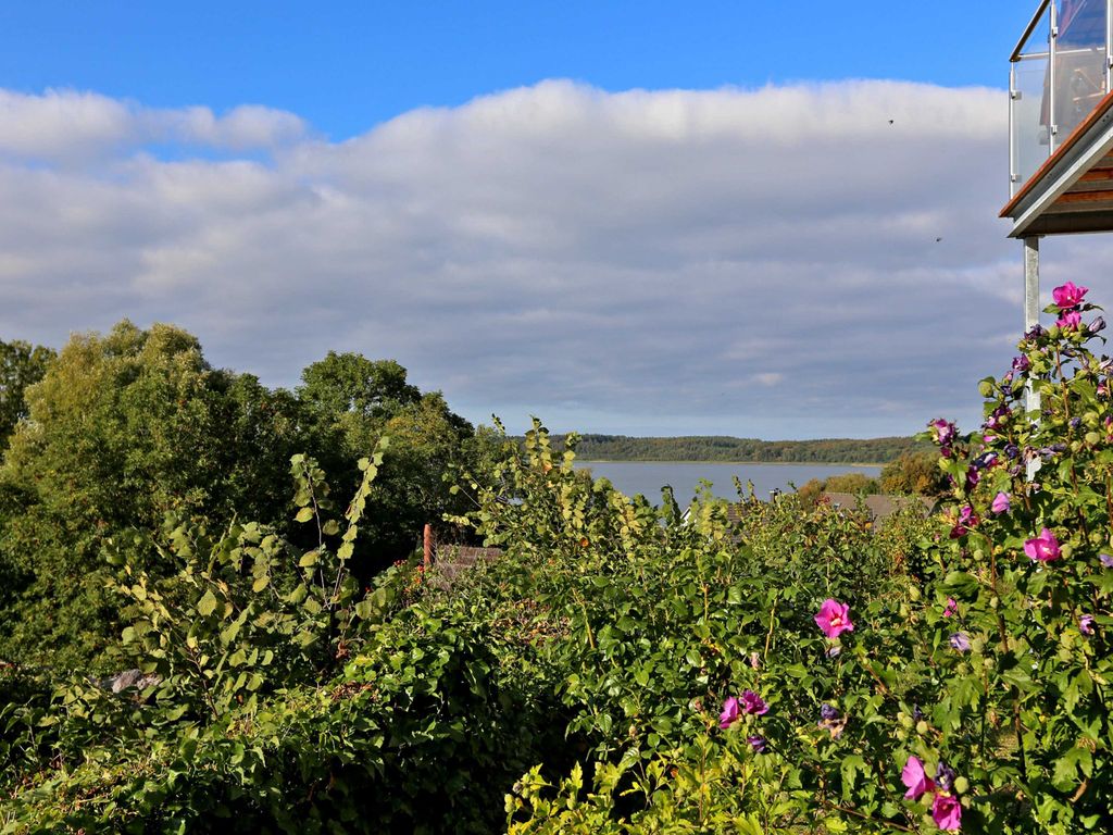 Ausblick