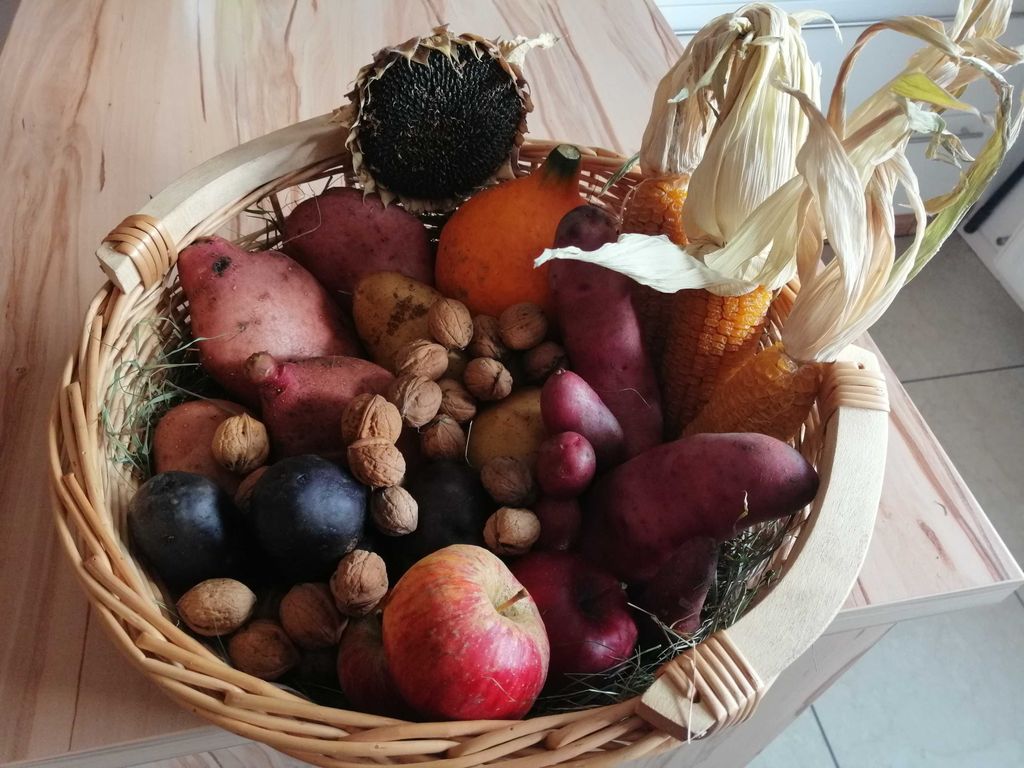 Erntedankkorb