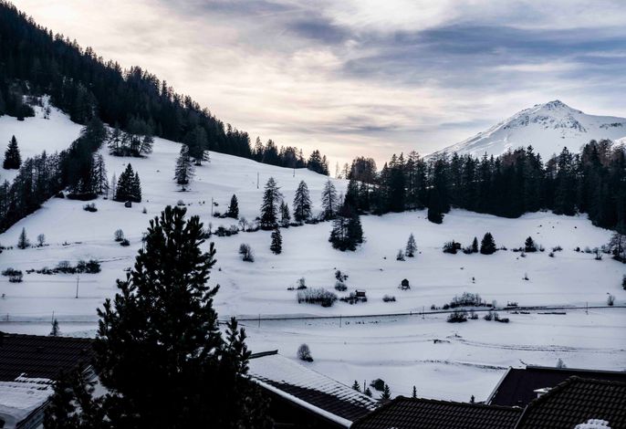 Bild 14